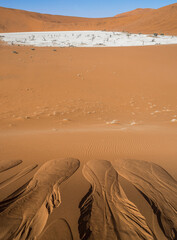 Sossusvlei (Dead Vlei), Namibia.