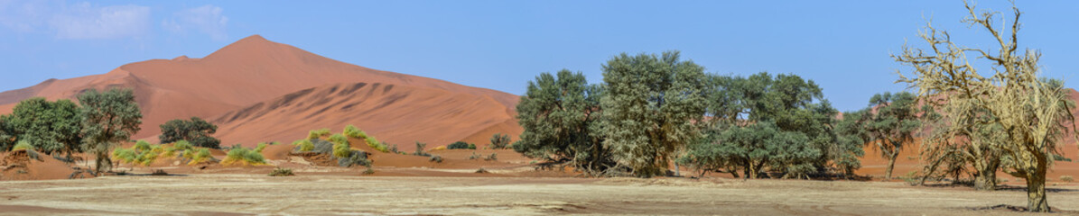 Namibian sand dunes panorama