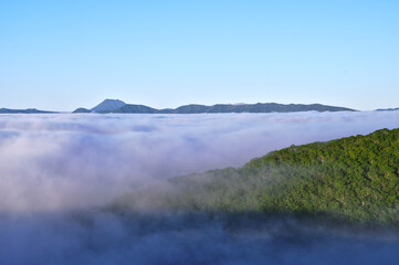Fototapeta na wymiar 青空と雲海と山の緑の森。