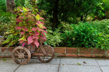 Fototapeta na wymiar Old wooden wheelbarrow decoration in green garden
