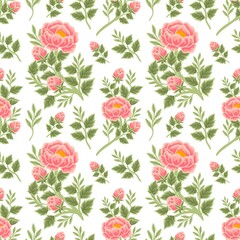 Vintage summer floral seamless pattern of peach peony bouquet, flower buds and leaf branch illustration arrangements for fabric, textile, women fashion, gift paper, feminine and beauty products