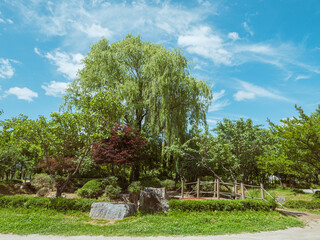 beautiful scenary of blue sky and greeny trees.