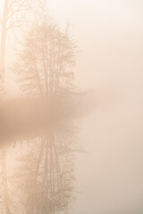 Obraz na płótnie Canvas Church tower in the morning light whit mist