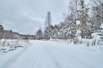 Winter road and snow covered trees in the forest on the roadside