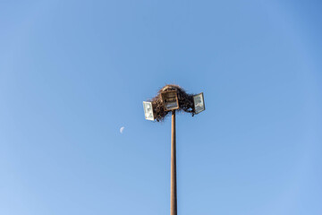 Light tower with birds nest on blue background. - obrazy, fototapety, plakaty
