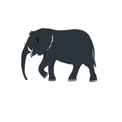 Graphic grey elephant silhouette animal