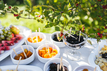 Various snacks at an outdoor summer event on a table with a white tablecloth under the branches of a tree with red berries. Cheese plate and dried fruits with juicy watermelon and grapes
