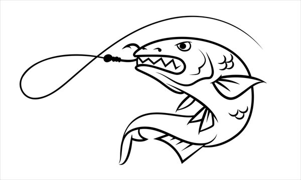 Graphic lines of fish hooked on a hook, vector