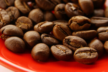 Close up of Indonesia Robusta Coffee Beans