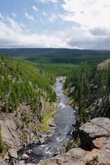River in Yellowstone National Park