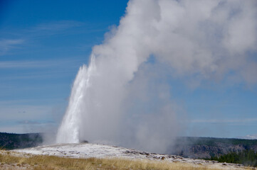 Geyser in Yellowstone National Park