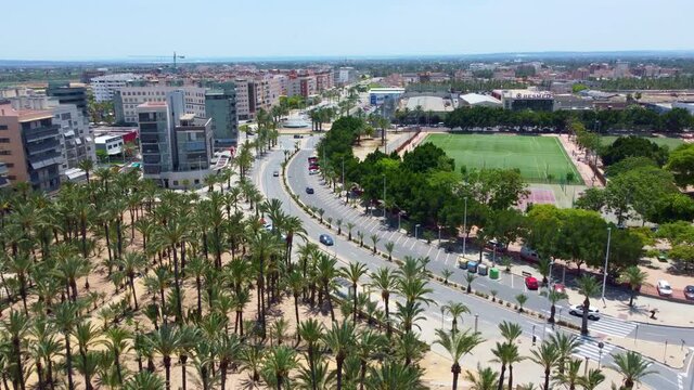 Aerial View Of Palm Trees At Hort del Torreret Park With A View Of Soccer Field At Ciutat Esportiva Juan Angel Romero In Elche, Valencian Community, Spain.