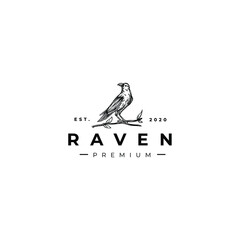 Black Raven Animal Drawing Logo Vector Illustration Template Icon Design
