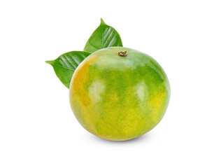 Orange fruits on white background