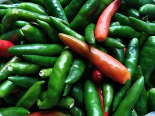 Red Chili On A Heap Of Green Chilli, with selective focus 