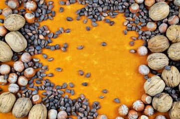 A composition of different nuts on the table. Background image.