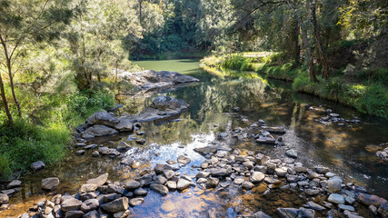 Light Filtering Through Trees Onto A Bushland Creek