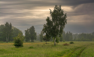 The road leads through meadows and woodlands. The nature is picturesque. Tourism.