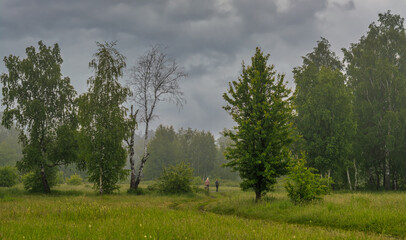 Fototapeta premium The road leads through meadows and woodlands. The nature is picturesque. Tourism.