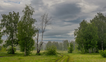 Obraz premium The road leads through meadows and woodlands. The nature is picturesque. Tourism.