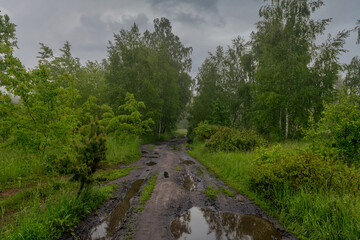 The road leads through meadows and woodlands. The nature is picturesque. Tourism.