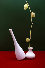 Still life with a physalis branch and two white vases