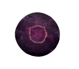 purple carrot on white background