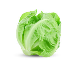 Lettuce leaf  on white background