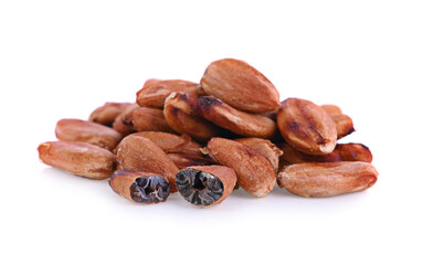 cocoa bean on white background