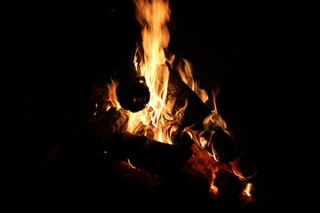 campfire fire at night
