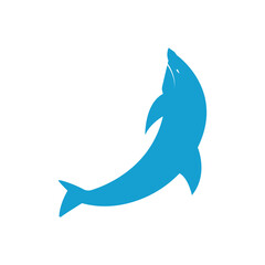 Dolphin icon. design template vector