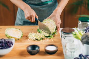 Vegetable Fermentation Process.