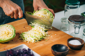 Vegetable Fermentation Process.