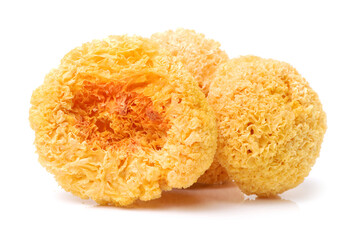 Tremella fuciformis on white background 