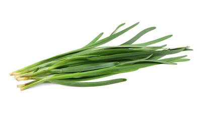 Fototapeta premium Leek on white background