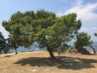 Hill of Kolona, just north of Aegina town, is the hill with one single column (kolona in Greek), last remnant of a Doric Temple of Apollo. Built in 520 BC, it stood on the prehistoric acropolis.