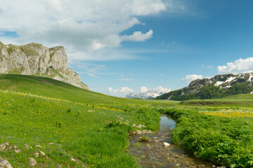 Fototapeta na wymiar green meadow in Lukavica Plateau in the spring, Montenegro