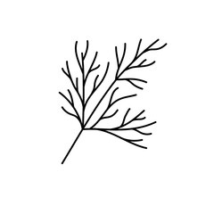 Dill herbs. Vegetable sketch. Thin simple outline icon. Black contour line vector. Doodle hand drawn illustration