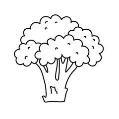 Broccoli. Vegetable sketch. Thin simple outline icon. Black contour line vector. Doodle hand drawn illustration