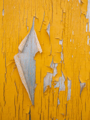 Old painted wood texture: yellow paint and cracked surface. Yellow and gray colors. Copy space. Illuminating and Ultimate Gray. Colors of the year 2021. 
