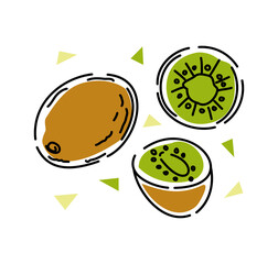 Kiwi fruit set. Abstract. Vector illustration