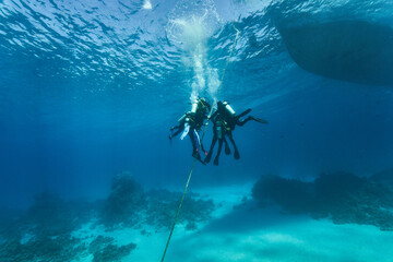 reef diving