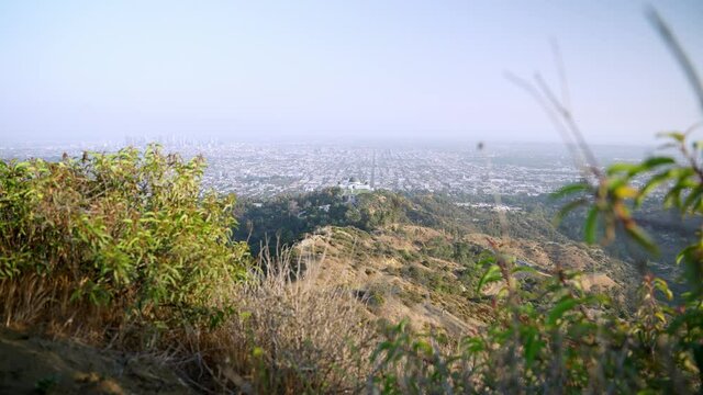 View of the Griffith Observatory Park and the city of Los Angeles from the top of the mountain
