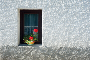 Cottage window with red geranium