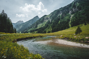 Fototapeta na wymiar Kleiner Idyllischer Bach in den Alpen in Österreich