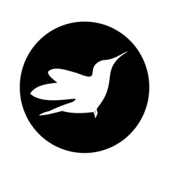 Colibri bird graphic element for logo. Hummingbird in black circle. Vector illustration isolated on a white background