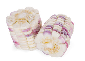 Corn an isolated on white background