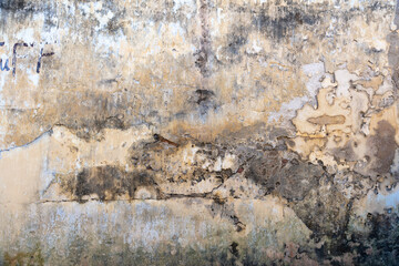 Exquisite vintage stone wall texture, background in natural colors.