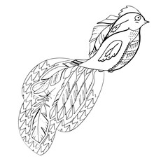 Contour linear illustration with bird for coloring book. Cute pretty bird, anti stress picture. Line art design for adult or kids  in zentangle style and coloring page.