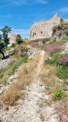 Fototapeta na wymiar Ponteves castle in the South of France